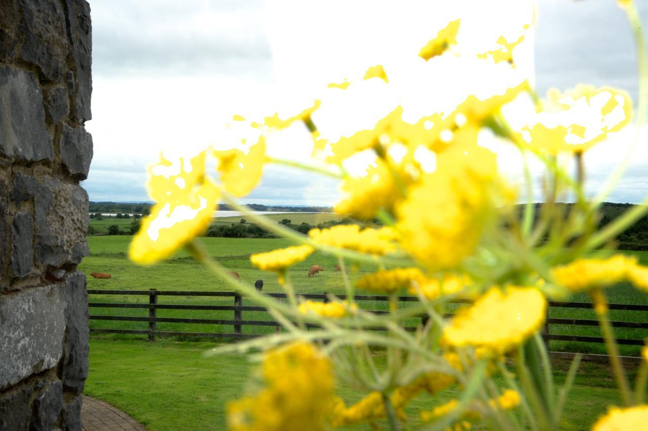 Bunratty Meadows Bed & Breakfast Екстериор снимка